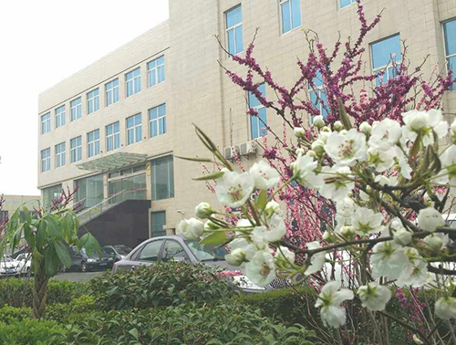 銀馬磚機公司一角 銀馬磚機公司一角